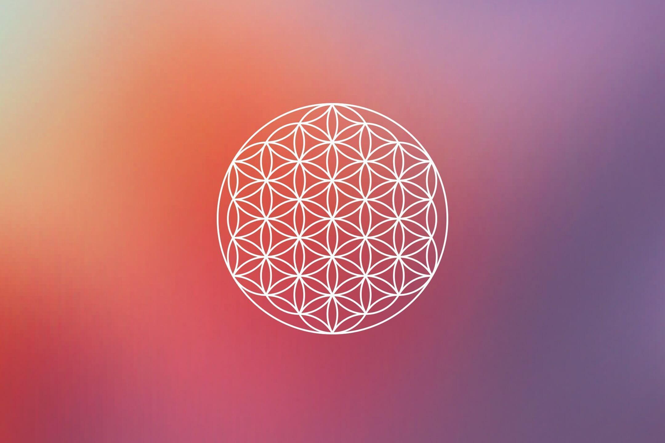 numerology flower of life