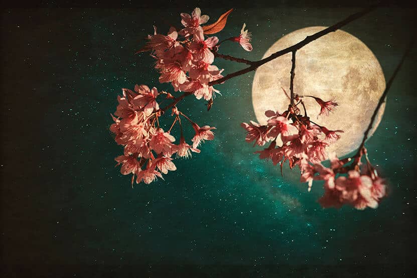 Super Flower Moon