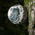 Ocean Jasper Guided Meditation