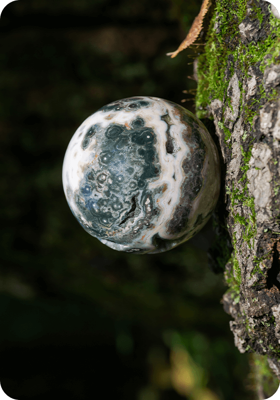 checkout Ocean Jasper Guided Meditation