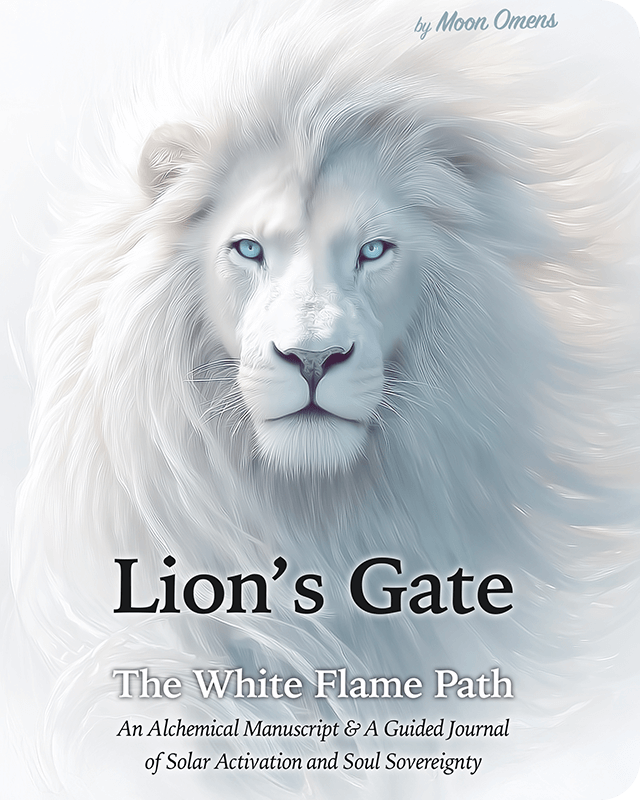 checkout Lion's Gate - Paperback