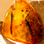 Amber Guided Meditation