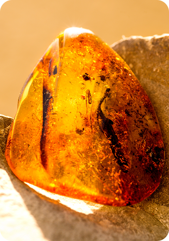 checkout Amber Guided Meditation