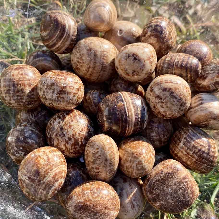 Crystal Aragonite Connection Item