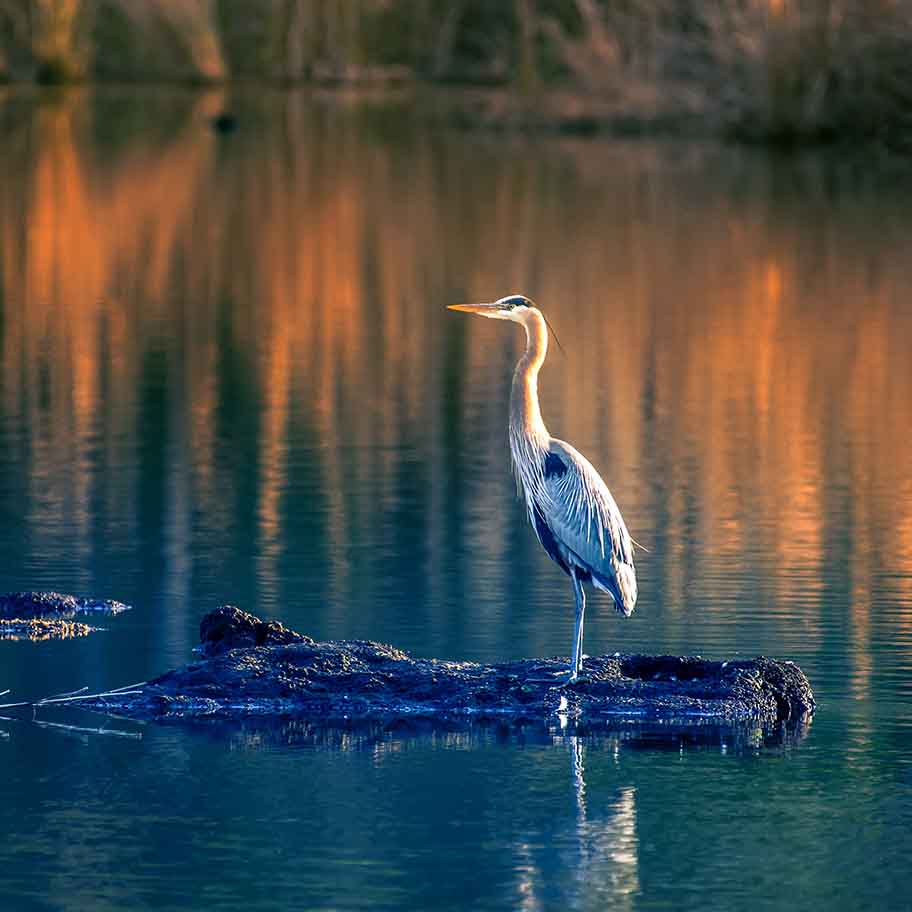 Crystal Dumortierite Connection Item