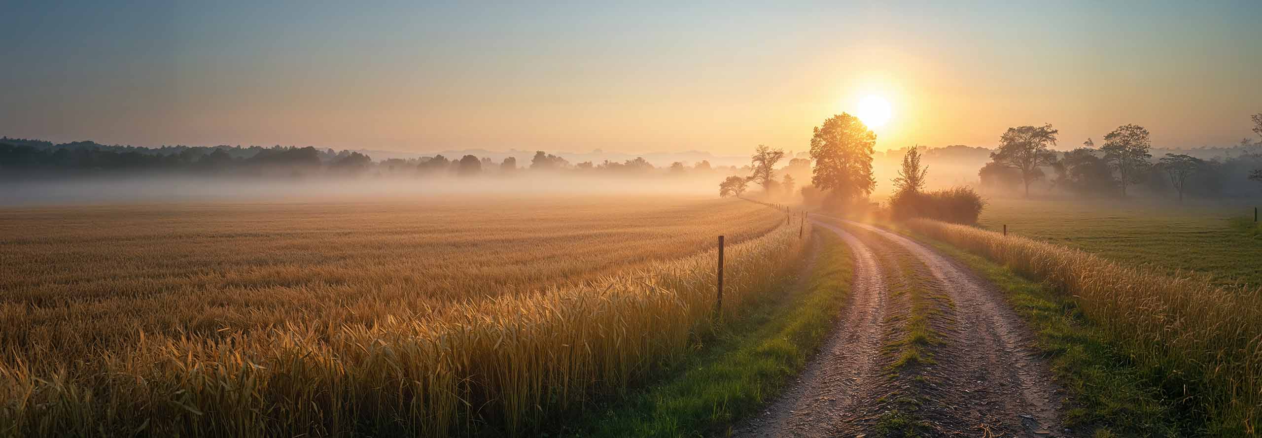 article Chiron direct in Aries: Moving Forward with Self-Trust