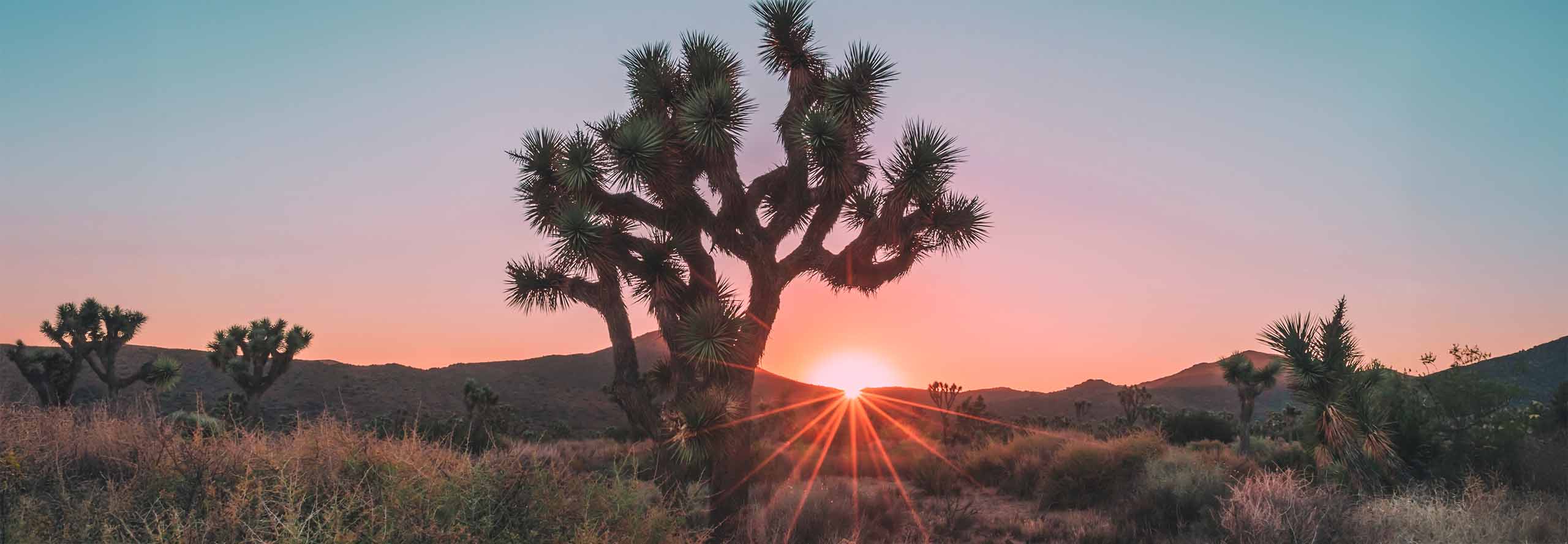 article Mercury enters Aquarius 2026: Cultivate Objectivity