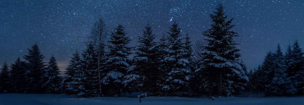 article New Moon in Capricorn: the First New Moon of 2026