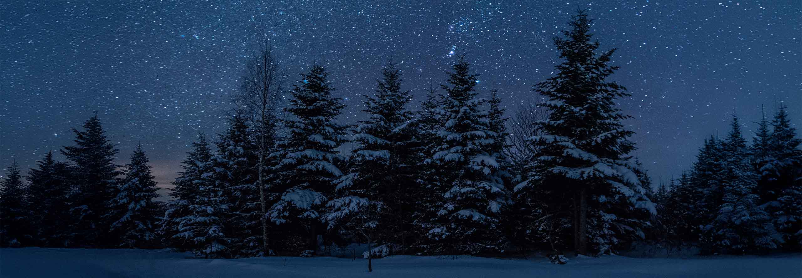 article New Moon in Capricorn: the First New Moon of 2026