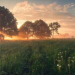 article February 2026 Astrology Forecast: Threshold of a New Era