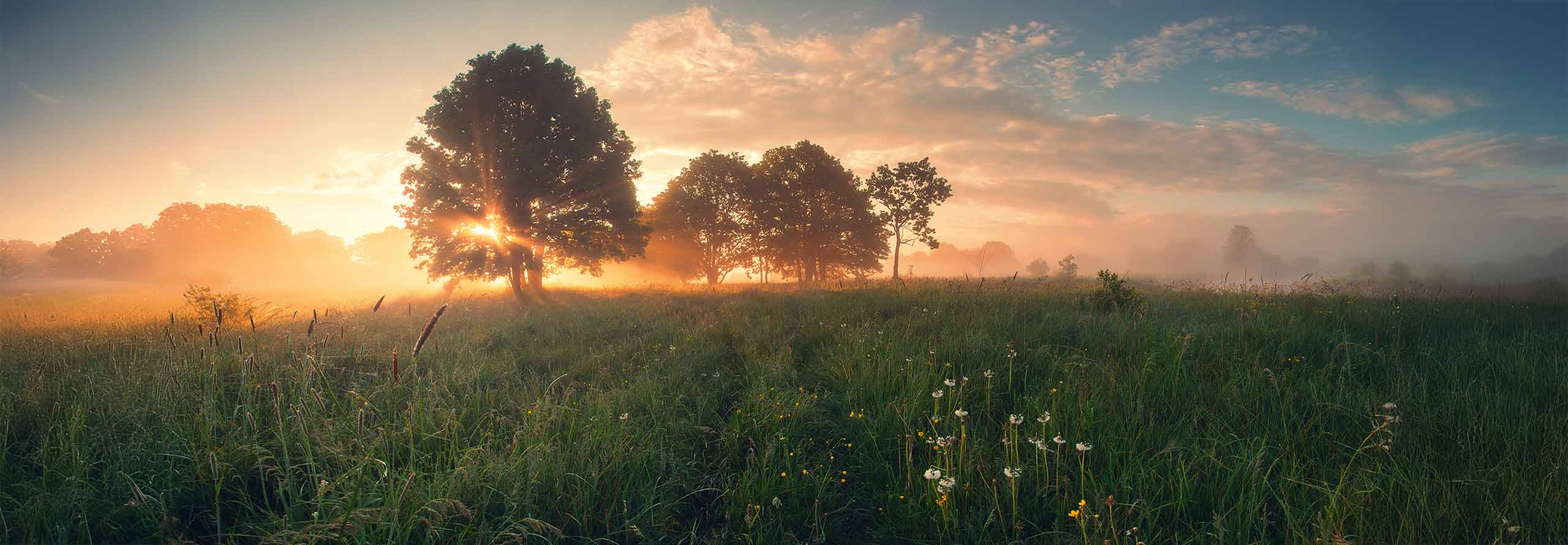 article February 2026 Astrology Forecast: Threshold of a New Era