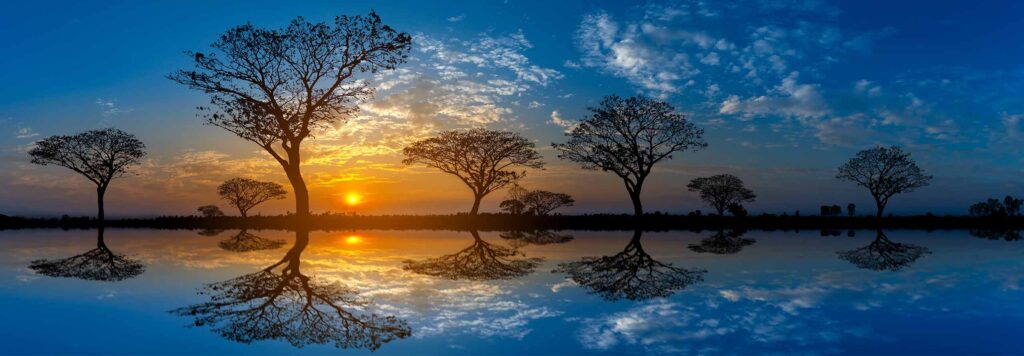 article Mercury in Pisces 2026: the Language of Soul