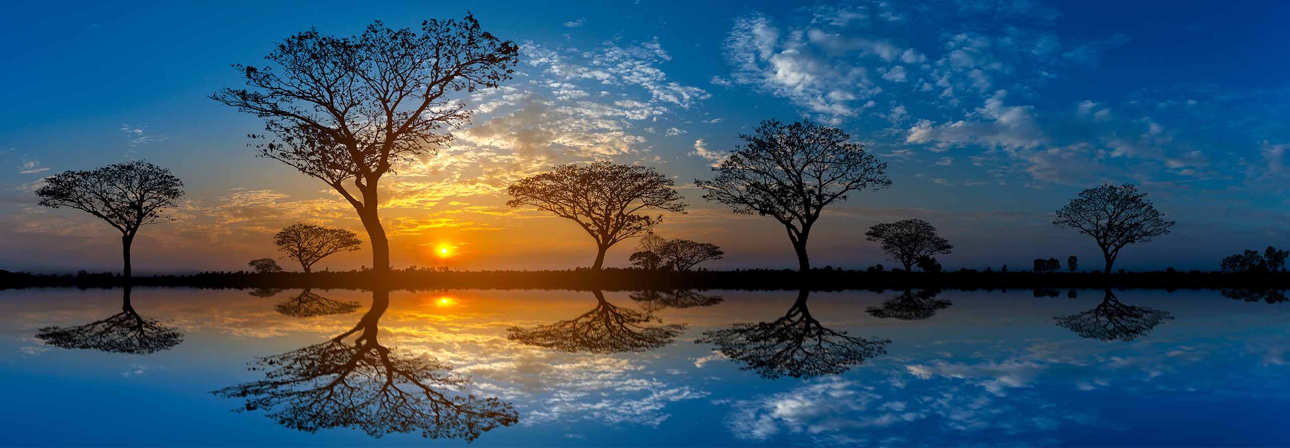 article Mercury in Pisces 2026: the Language of Soul