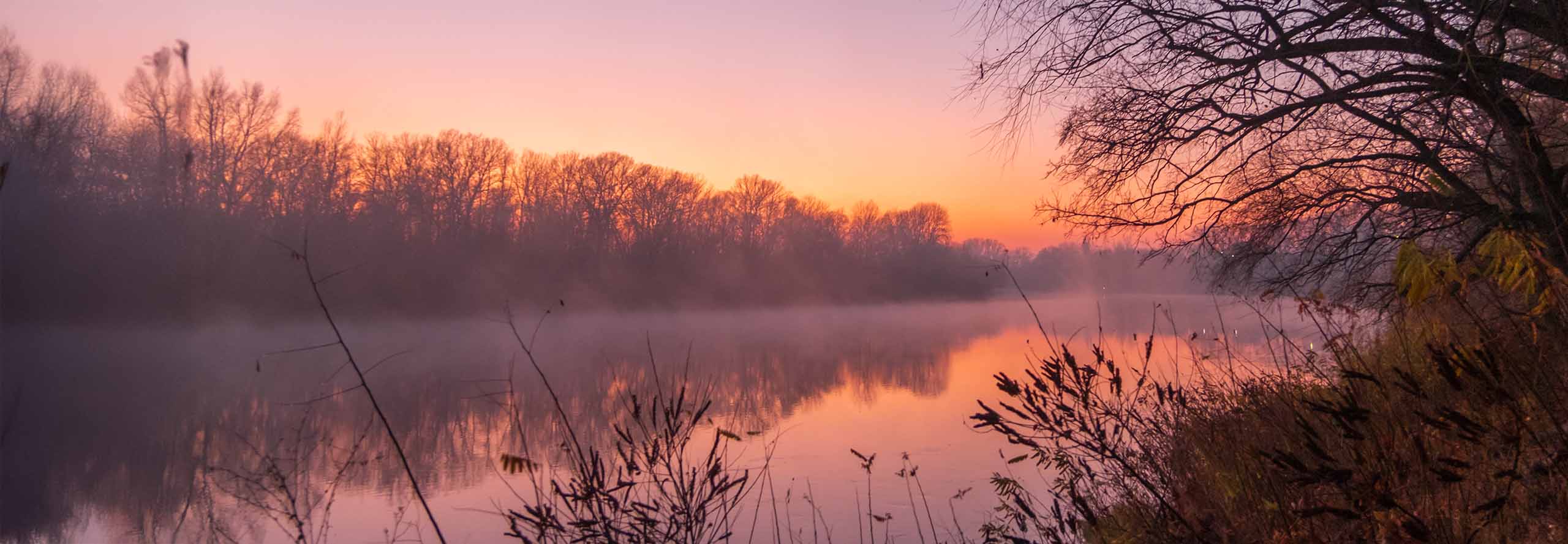 article Mercury Direct in Pisces 2026: the Fog is Lifting