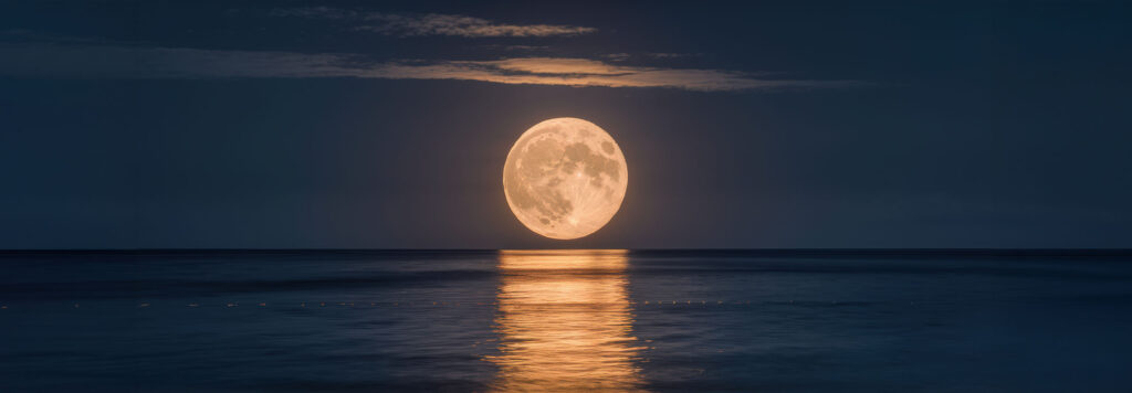 article Full Moon in Scorpio 2026: Alchemizing the Past