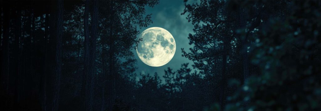 article Full Moon in Capricorn 2026: Maturation and Reparenting