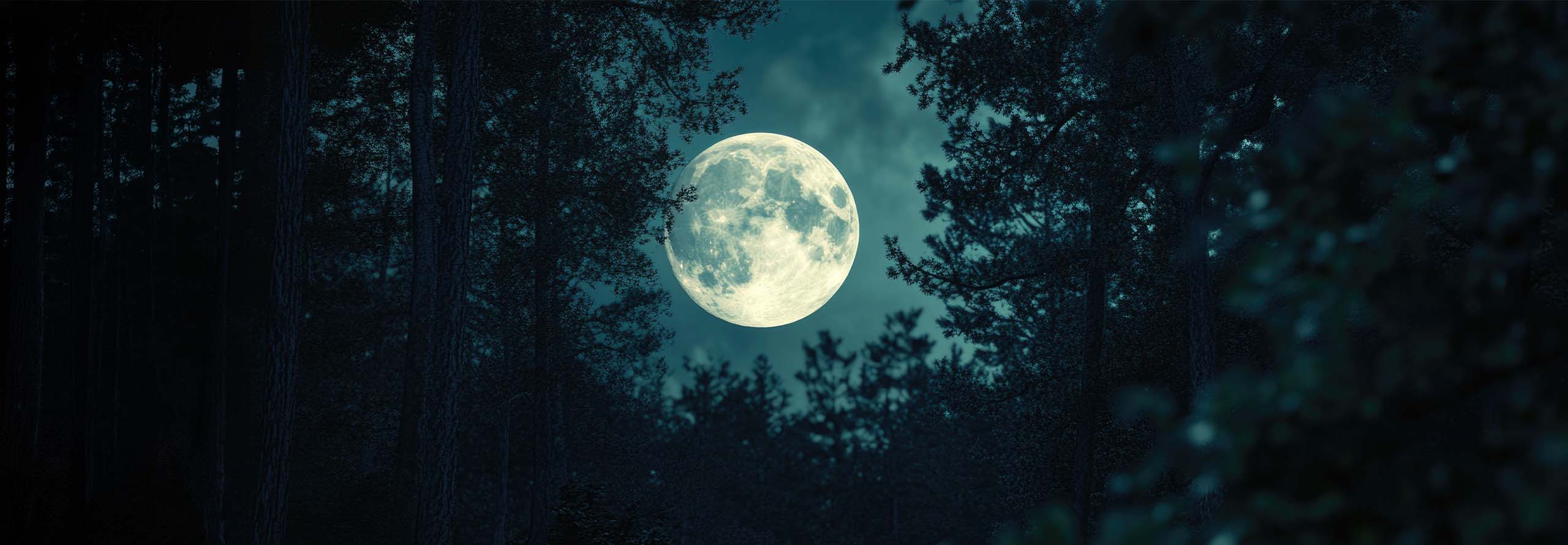 article Full Moon in Capricorn 2026: Maturation and Reparenting
