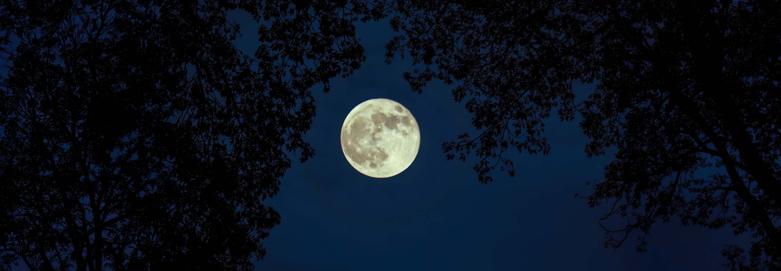 article Full Moon in Aquarius 2026: Authenticity and Belonging