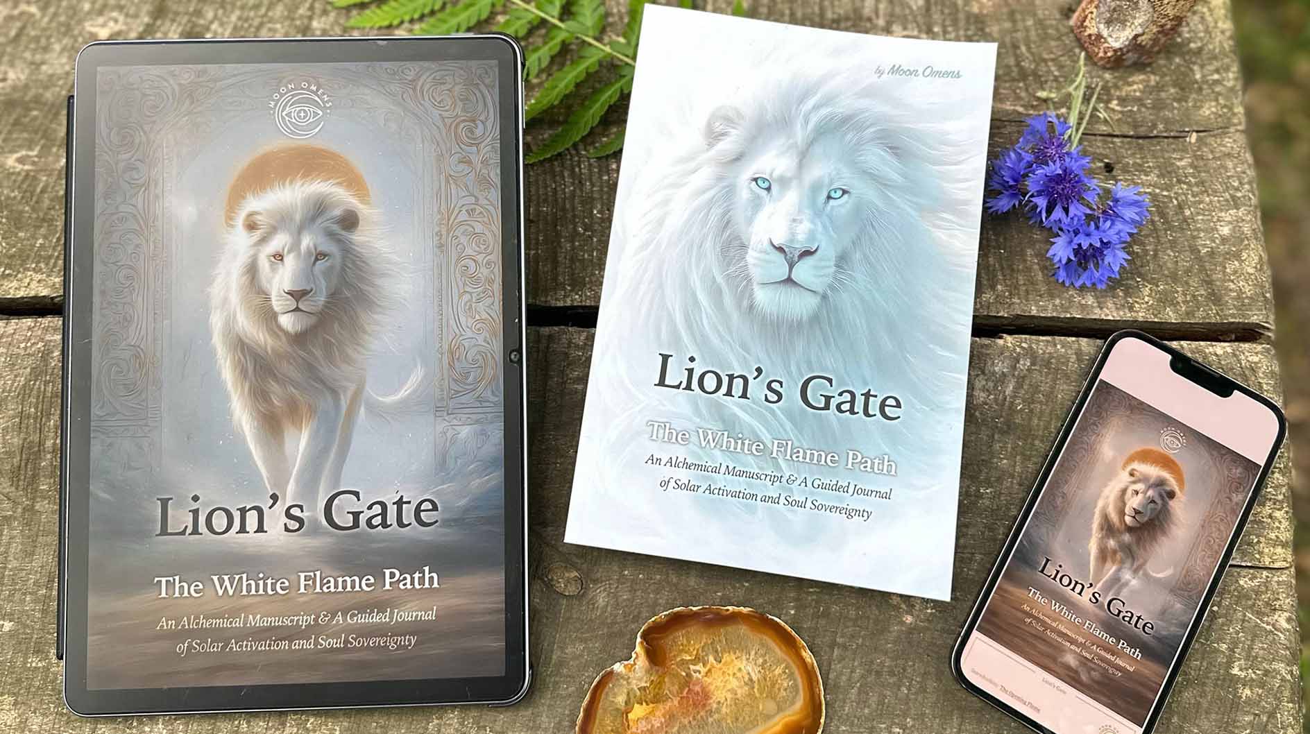Lion's Gate