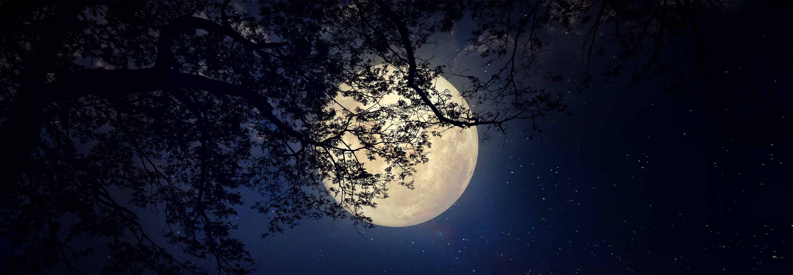 article Full Moon in Taurus 2026: the Courage to Let Go